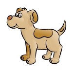 Conseils pour appeler votre chien