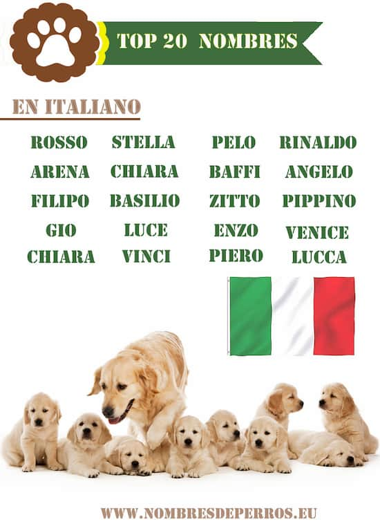 Nom de chiens en italien