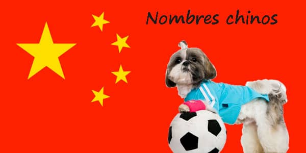 Noms de chien chinois