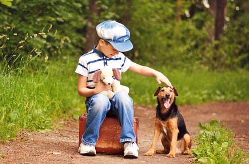 allemand-ado-avec-son-chien