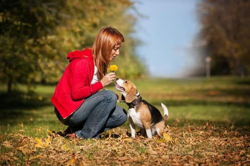 noms-allemands-pour-chiens