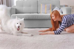 femme-avec-son-chien-aux-cheveux-blancs