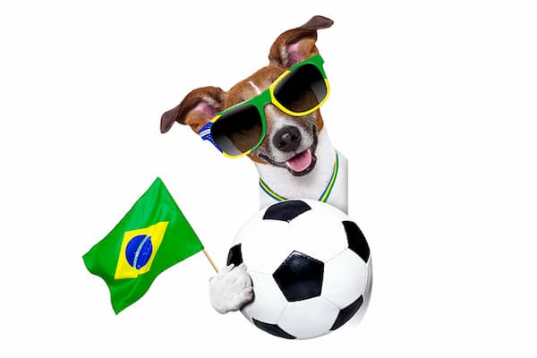 noms-brésiliens-pour-chiens