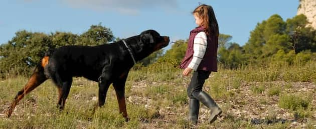 Fille russe avec son chien rottweiler