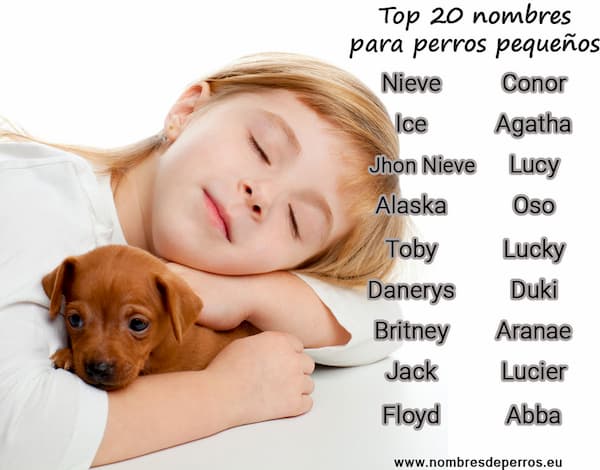 meilleurs noms pour petits chiens en espagnol 2022